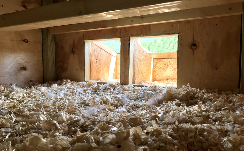 nesting box location in coop